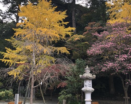 7621B022-2E7F-4E7D-9A6B-87161AE6A4A4