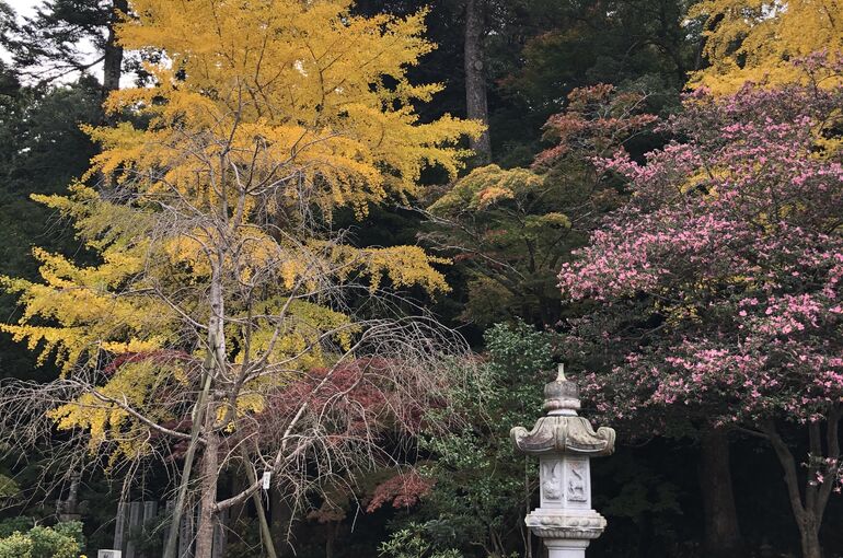 7621B022-2E7F-4E7D-9A6B-87161AE6A4A4